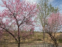 -白鹭湾湿地公园