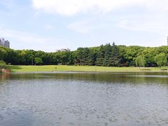 -黄兴公园
