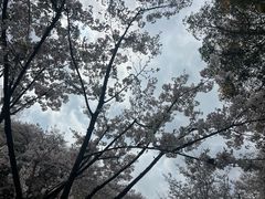 -杭州少年儿童公园