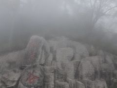 -大围山国家森林公园