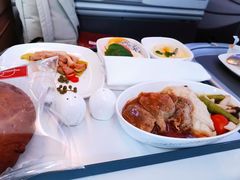 -虹桥机场国航贵宾室v8