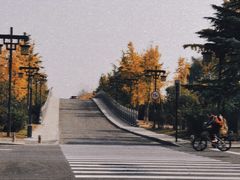 -洛阳市隋唐城遗址植物园