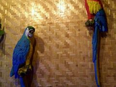 -The Tiki Bungalow提基小木屋酒吧