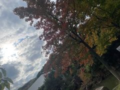 -白马涧龙池景区
