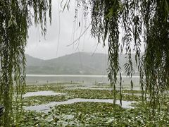-鸣鹤古镇