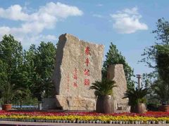 -泰丰公园