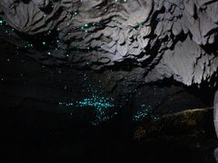 -怀托摩萤火虫洞