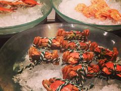 -富力希尔顿酒店·地阔自助餐厅