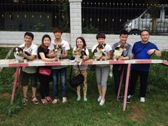 iphone_upload_pic-良成狗狗乐园
