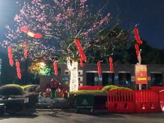 环境-文华公园(禅城区)