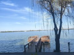 -溱湖国家湿地公园