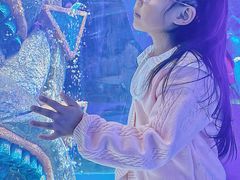 -哈尔滨波塞冬海底世界