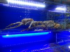 -鹊华居·地道鲁菜·海鲜·融合味(大明湖店)