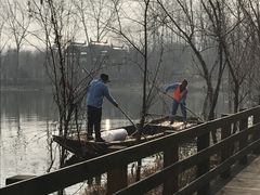 -溱湖国家湿地公园