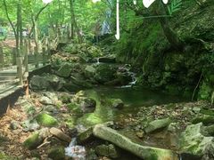 -本溪汤沟绿石谷森林公园