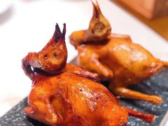 -大鸽饭(岗顶店)
