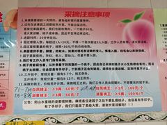 -老袁家蜜桃农场·阳山水蜜桃