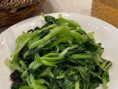 -贴阁碧(百丈东路店)
