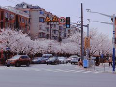 -永乐路-路侧停车场