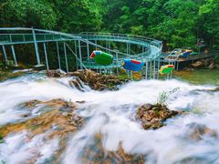 -九龙江国家森林公园