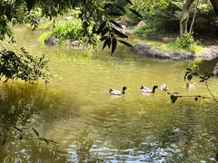 -水濂山森林公园