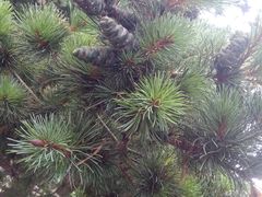 -丝绸小镇荻港古村