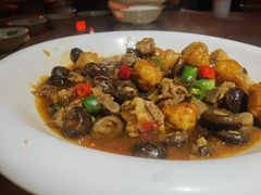 菌香牛腩-田园印象·成都土菜院子(华阳店)