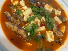 -煲来饱去冷水鱼