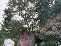 -西湖外事游船(湖滨二公园外事游船码头)