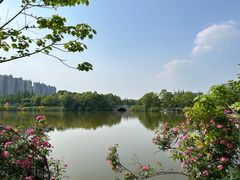 -成都南湖公园