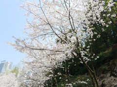 -两江幸福广场