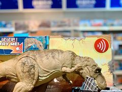 -TOYSRUS玩具反斗城(深圳布吉万象汇店)