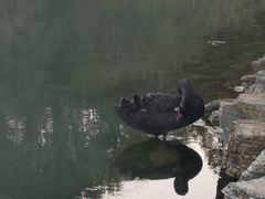 -南京珍珠泉风景区