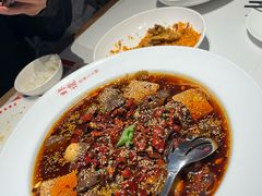-阳光天地