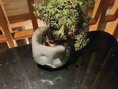 -浅深(北京北四环精品店)