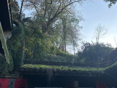 -Metal hands·铁手咖啡