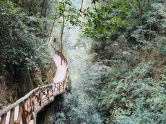 -鹿院坪生态旅游景区