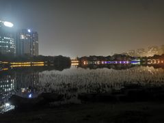 -南翔镇银翔湖公园