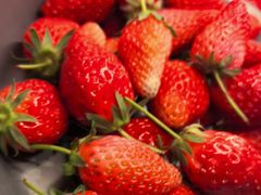 -龍歌自助小火锅(城阳万象汇店)