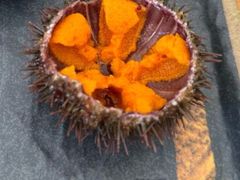 -海胆小馆(东北水饺·春柳店)