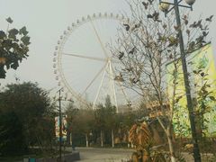 -石家庄市植物园