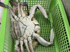 -渔满仓海鲜渔家(象山二店)