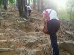 -火炉山森林公园