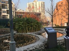 -活水公园