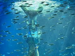 -海合安青岛极地海洋公园