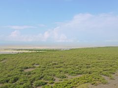 -北海金海湾红树林生态旅游区