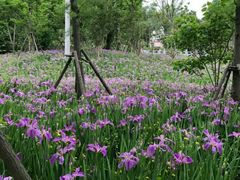 -贵阳市花溪国家城市湿地公园
