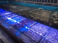 -海韵之星邮轮水会(明发商业广场店)
