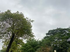 -大亚湾红树林城市湿地公园