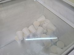 -洪馨椰子